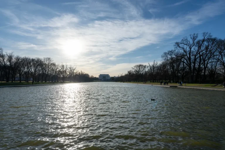 Reflecting Pool vandalism case