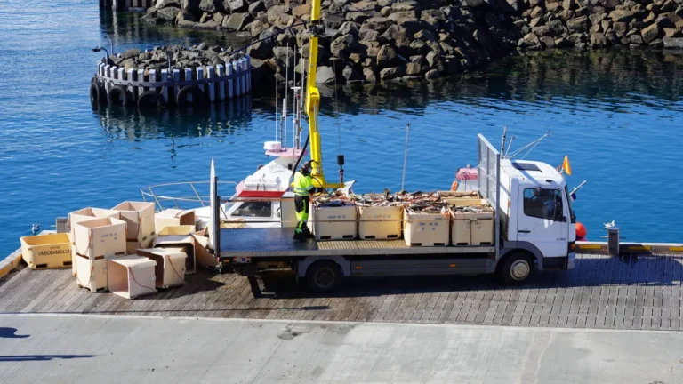 Italian blue crab export