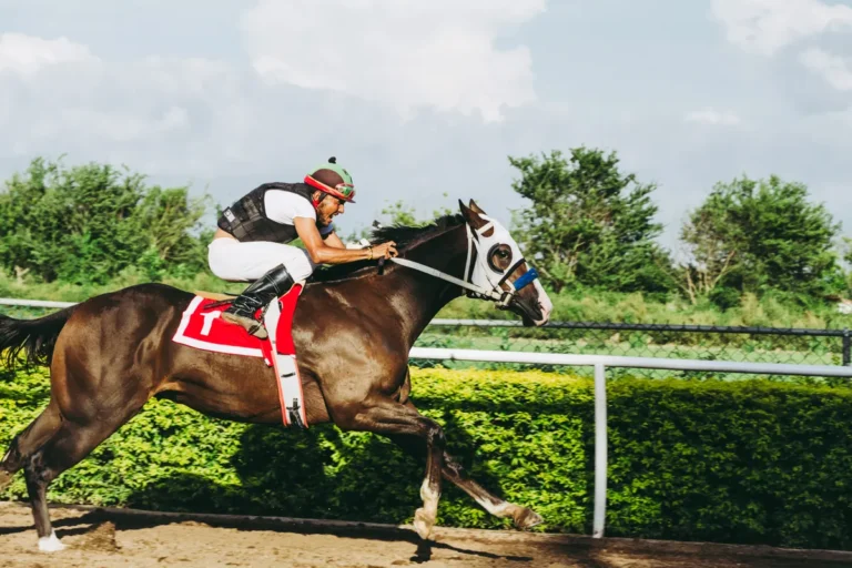 Kalshi sports betting loophole lets under-21s trade billions Kalshi sports betting loophole
